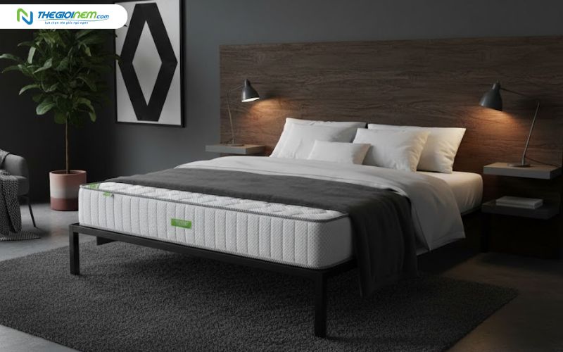 Nệm lò xo TATANA Dona