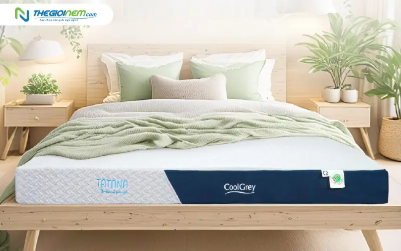 nệm tatana