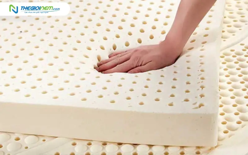 kiểm định độ bền và tính đàn hồi