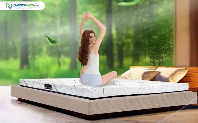 Đệm cao su nhập khẩu Dunlopillo Herit