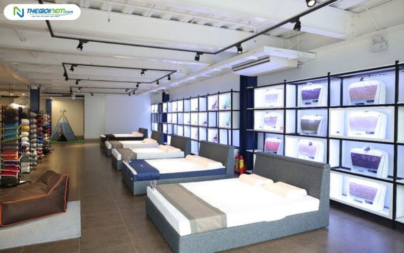 Top 10+ cửa hàng nệm chăn ga gối uy tín tại Tân Sơn Nhì, Tân Phú HCM 4
