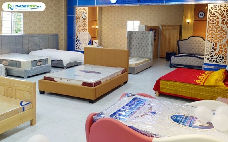 Top 10+ cửa hàng nệm chăn ga gối uy tín tại Tân Sơn Nhì, Tân Phú HCM 5