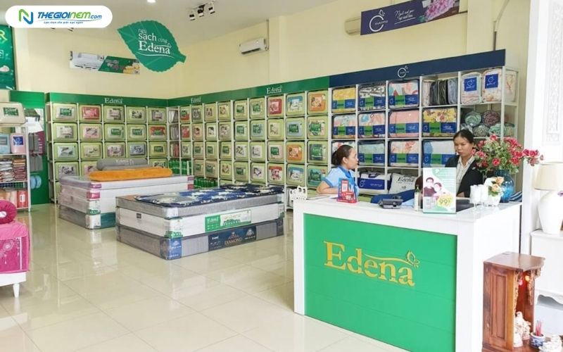 Top 10+ cửa hàng nệm chăn ga gối uy tín tại Tân Sơn Nhì, Tân Phú HCM 6