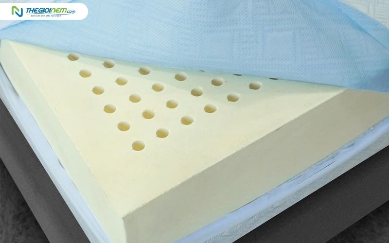 Chất liệu nệm cao su Edena