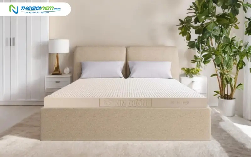 nệm cao su kim cương