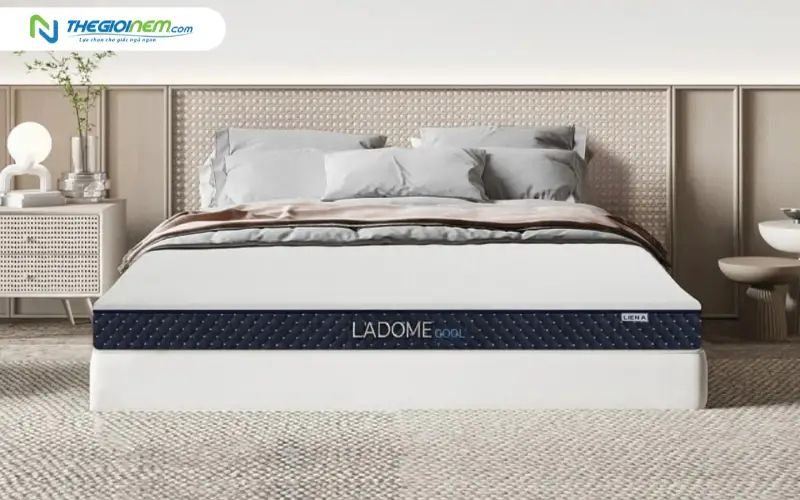 nệm cao su thiện nhiên liên á