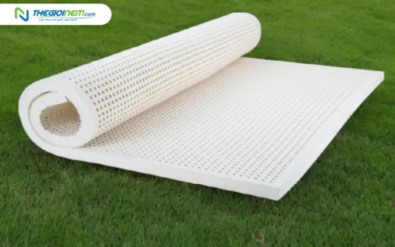 thân thiện với môi trường bền vững