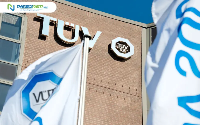 tổ chức tuv là ai