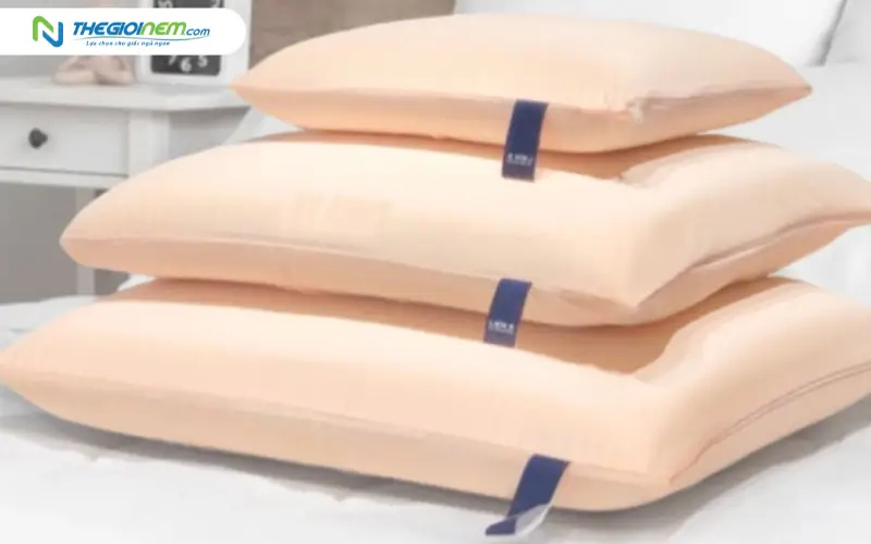 gối cao su liên á