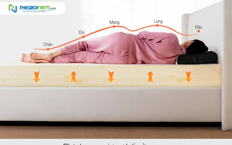 nâng đỡ cột sống