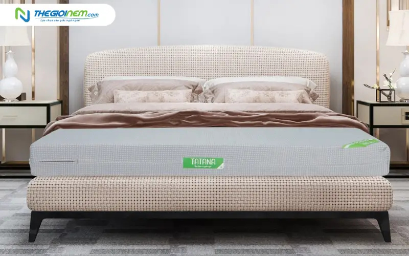 nệm bông ép tatana