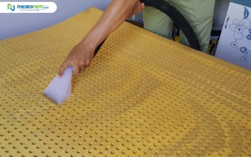 Vệ sinh nệm định kỳ để đảm bảo môi trường ngủ sạch