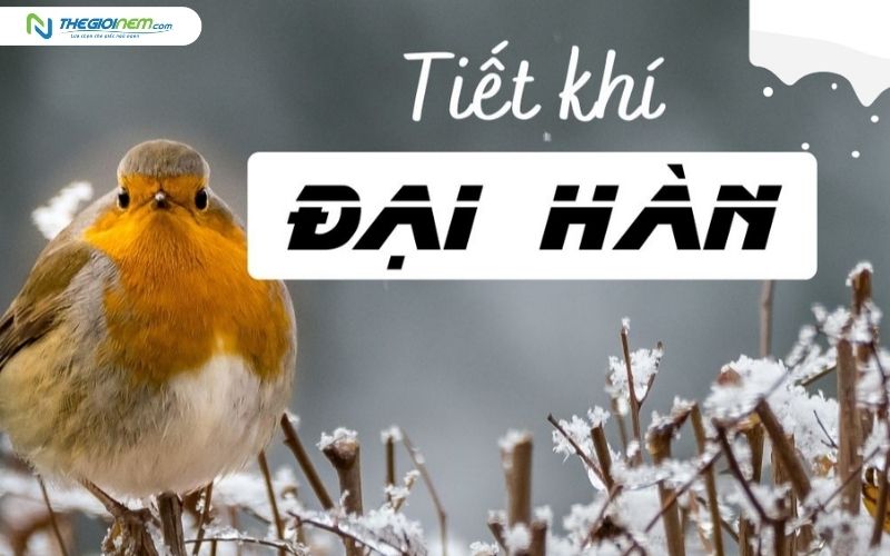 Tiết Đại hàn 2026 rơi vào 20/1/2026 Dương lịch