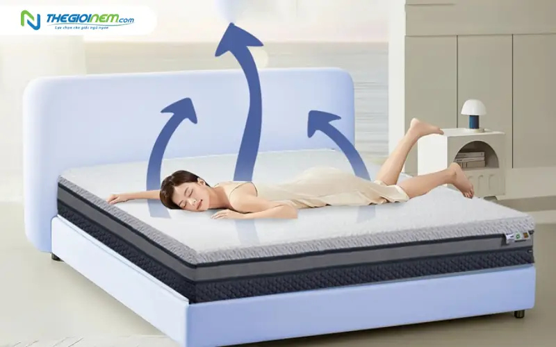 khả năng điểu hòa thân nhiệt và kiểm soát độ ẩm