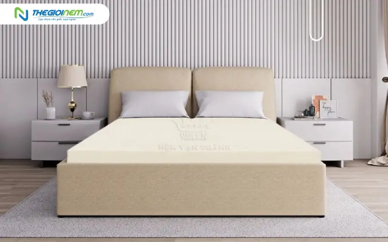 vạn thành standard