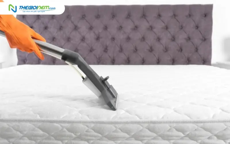 vệ sinh nệm
