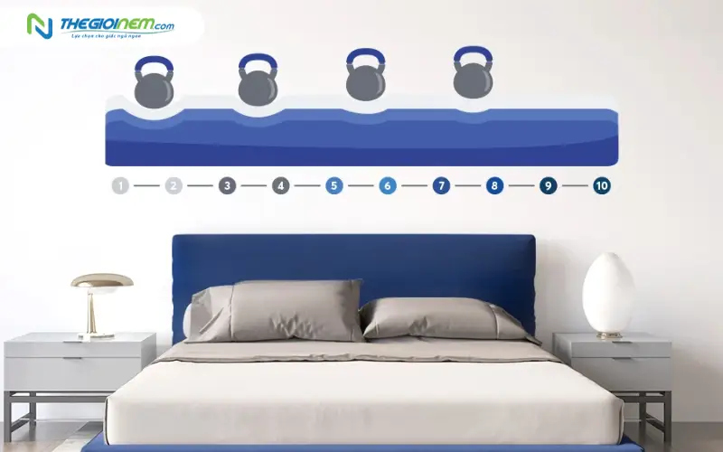 Độ cứng vừa phải