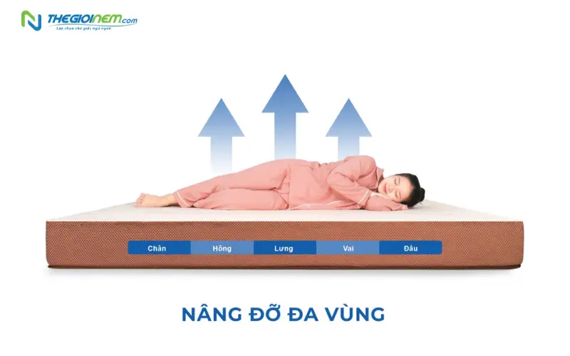 Khả năng nâng đỡ đa vùng