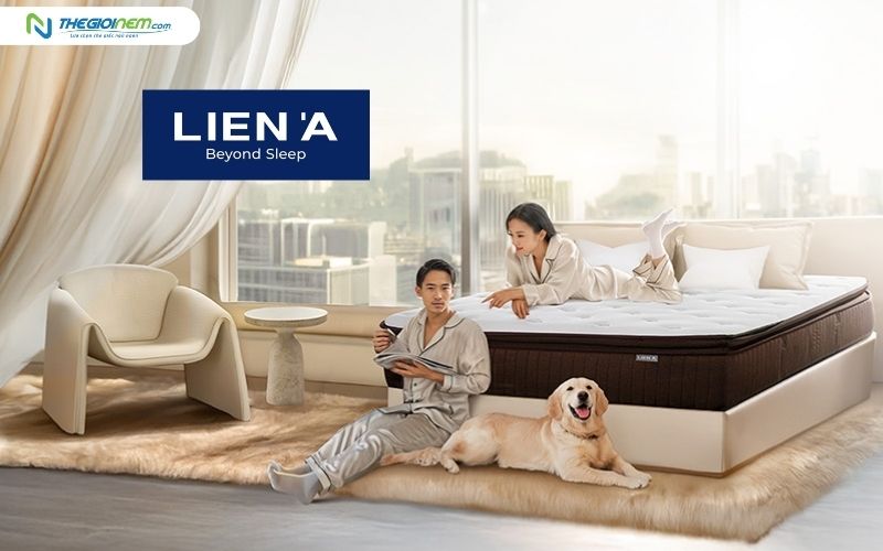 Liên Á là thương hiệu được yêu thích tại Việt Nam