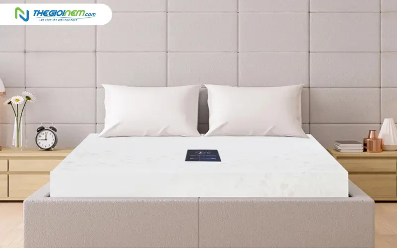 nệm cao su liên á 5zone