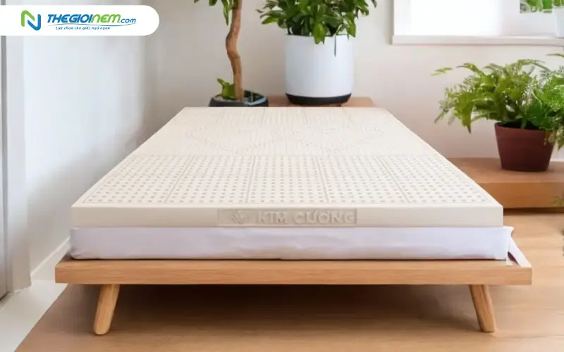 Nệm cao su thiên nhiên Kim Cương Purelux 3Zone