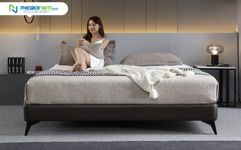 Divan giường bọc da/Simili