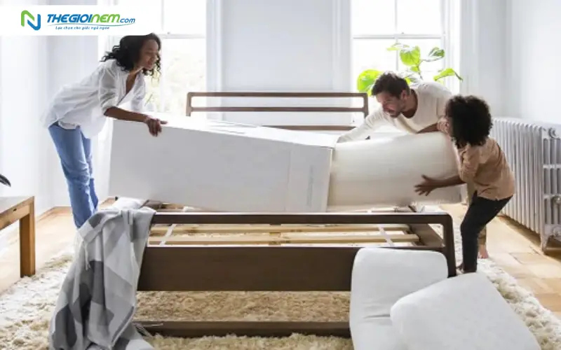 Nệm cao su Hybrid đóng hộp