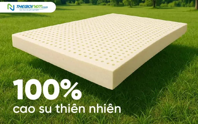 Cốt nệm 100% cao su thiên nhiên tinh khiết