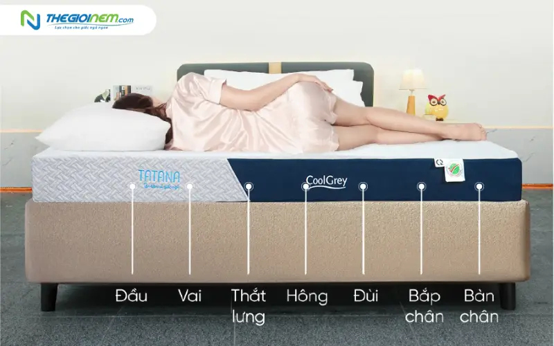 Cảm giác nằm (Firmness) và khả năng nâng đỡ 5 vùng cơ thể