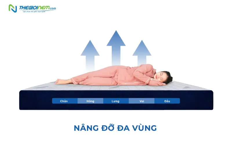 nâng đỡ đa vùng