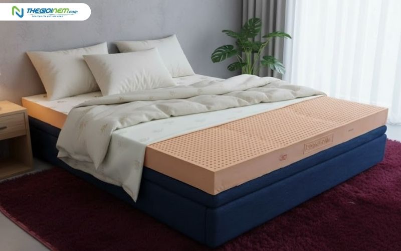 Nệm cao su thiên nhiên Đồng Phú Friendly