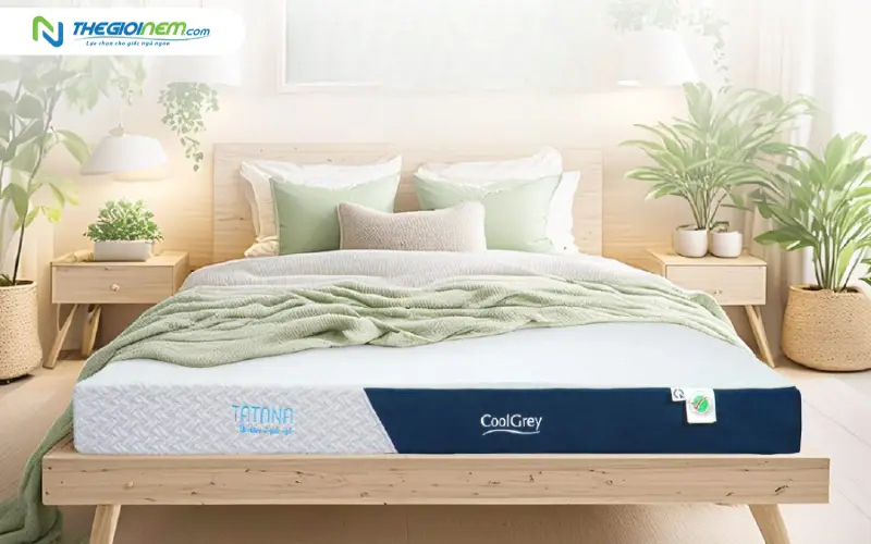 nệm cao su thiên nhiên