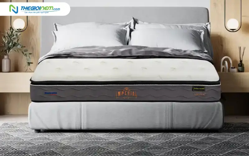 nệm lò xo túi độc lập