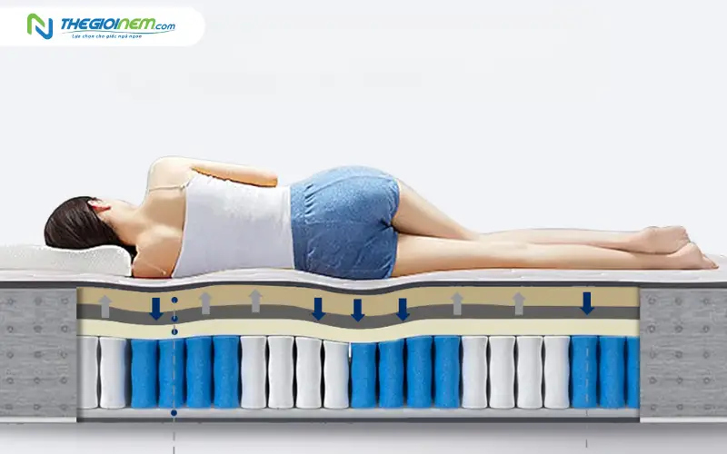 Vai trò của nệm trong việc định hình đường cong sinh lý