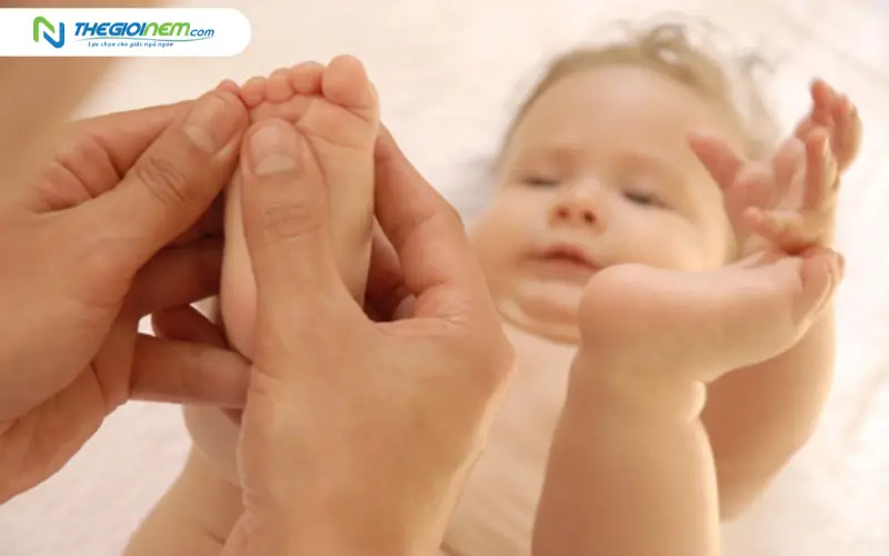 Massage lòng bàn chân với tinh dầu tràm