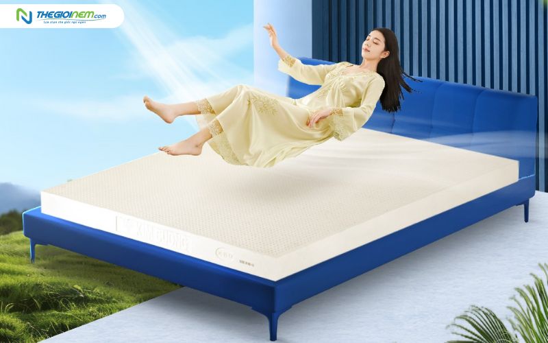 Nệm cao su Kim Cương