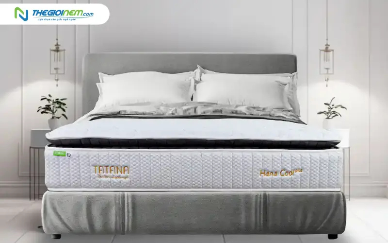Nệm lò xo TATANA