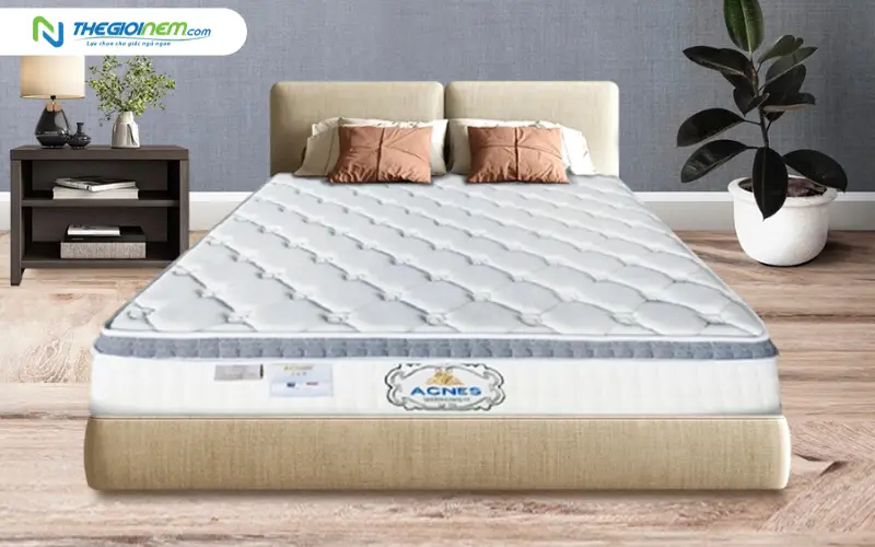 Nệm lò xo túi Acness