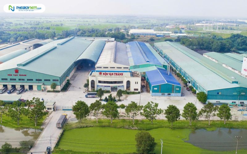 cửa hàng bán nệm cao su vạn thành tại tân sơn nhì 2