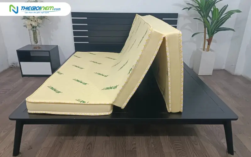 Cách chọn nệm cao su non Thắng Lợi phù hợp