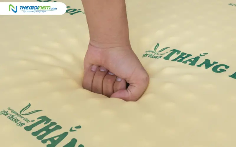 Đánh giá thực tế: Nệm cao su non Thắng Lợi có tốt không?