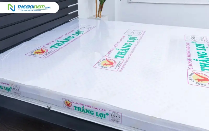 Nệm cao su non cao cấp Thắng Lợi