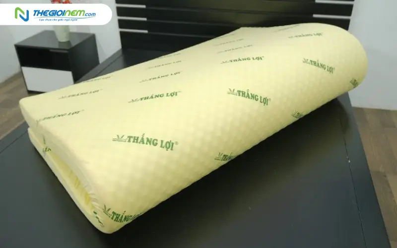 Nệm cao su non massage Thắng Lợi