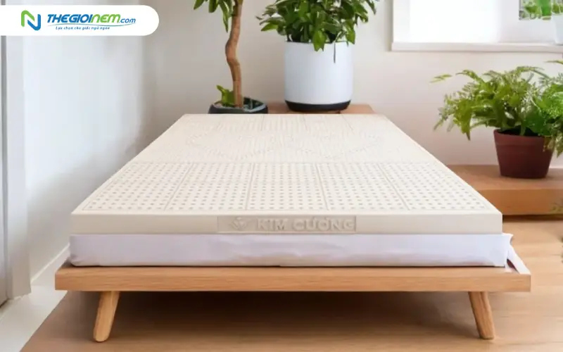 Nệm cao su thiên nhiên Kim Cương Purelux 3Zone