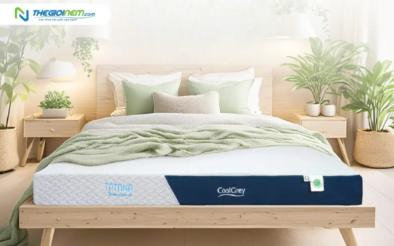 Nệm cao su thiên nhiên TATANA Cool Grey