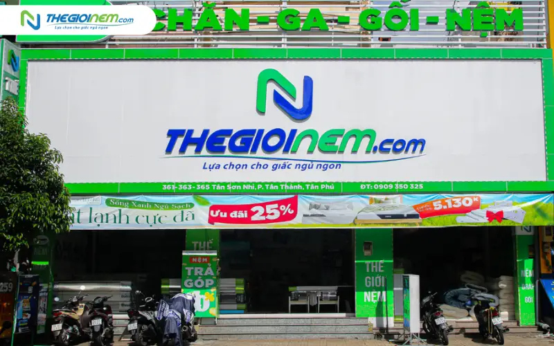 Địa chỉ mua nệm cao su uy tín