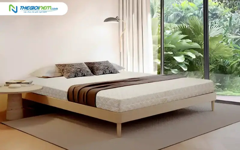 Giá nệm cao su non Kim Cương