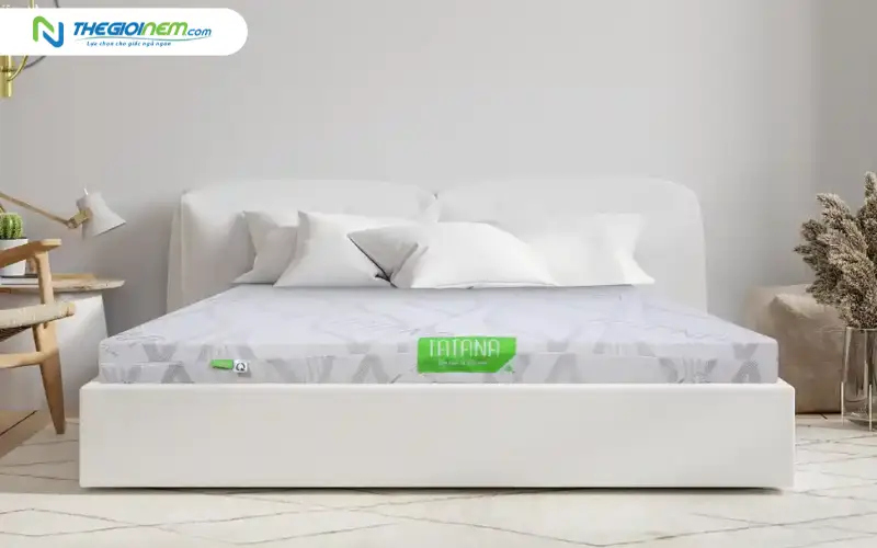 Giá nệm cao su non TATANA