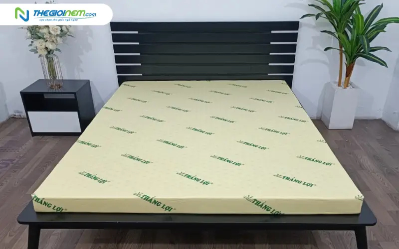 Thế nào là nệm cao su non?