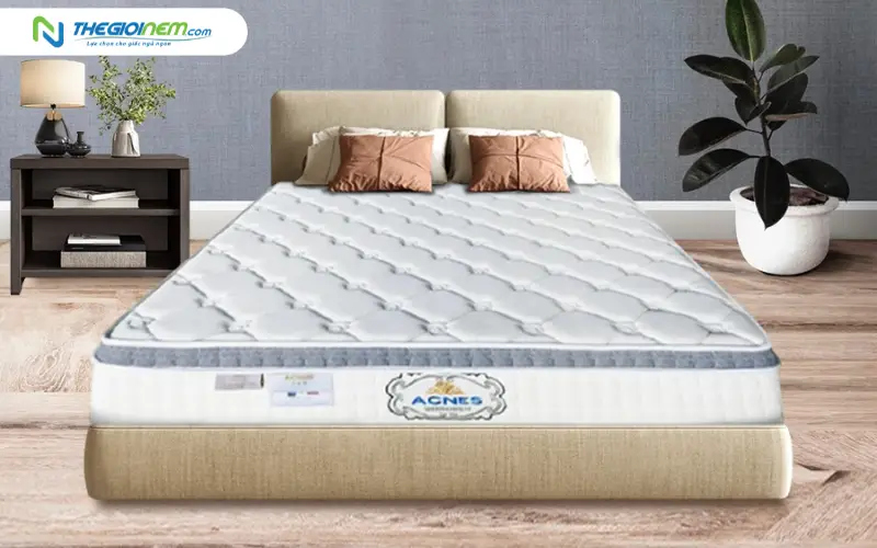 nệm lò xo kim cương